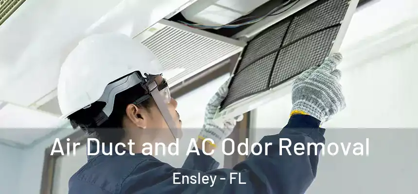 Air Duct and AC Odor Removal Ensley - FL