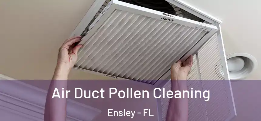 Air Duct Pollen Cleaning Ensley - FL