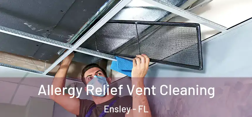Allergy Relief Vent Cleaning Ensley - FL