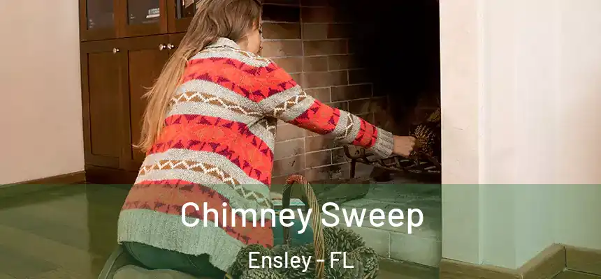 Chimney Sweep Ensley - FL