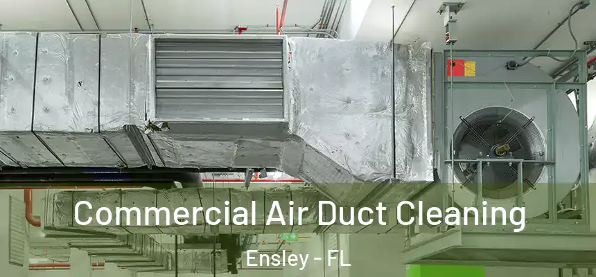 Commercial Air Duct Cleaning Ensley - FL