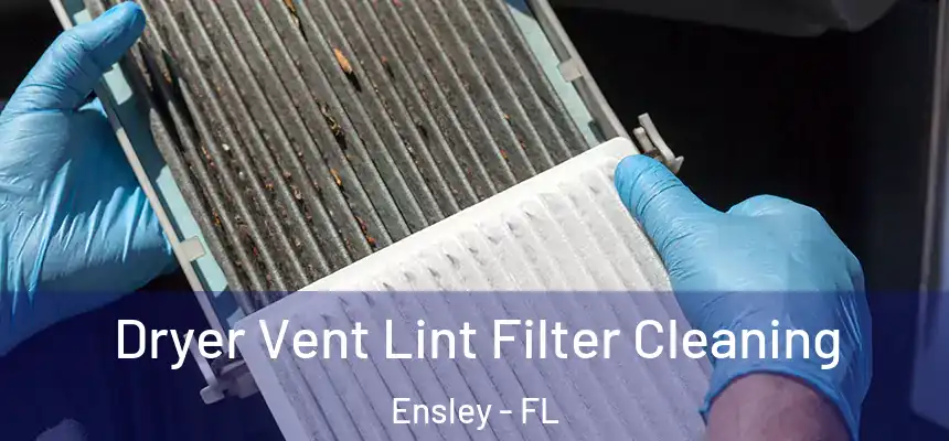 Dryer Vent Lint Filter Cleaning Ensley - FL