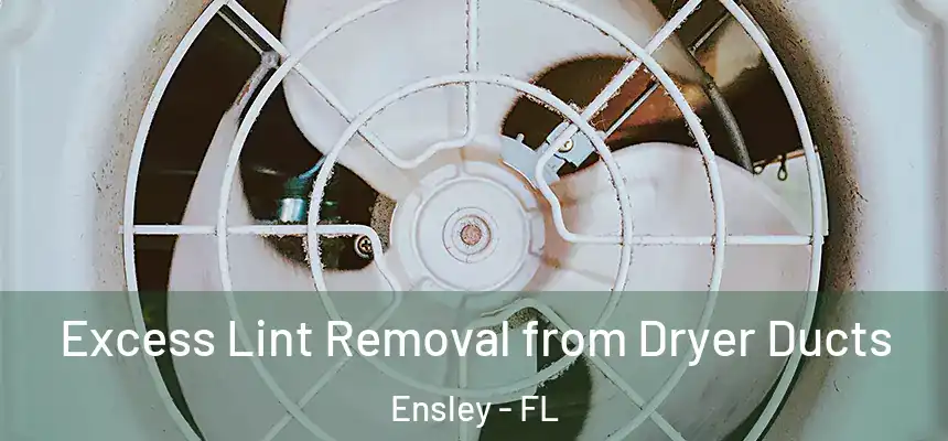 Excess Lint Removal from Dryer Ducts Ensley - FL