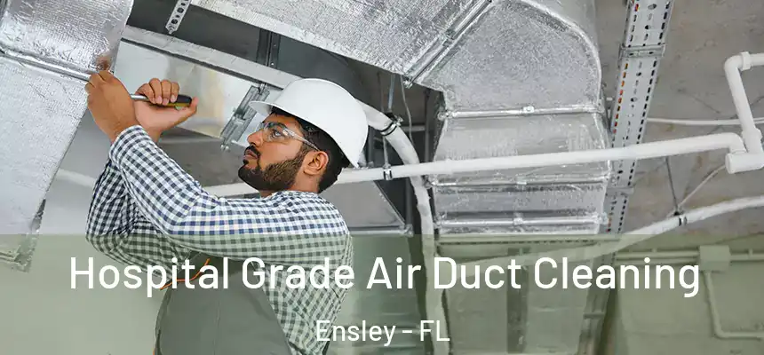 Hospital Grade Air Duct Cleaning Ensley - FL