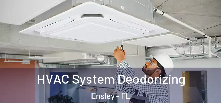 HVAC System Deodorizing Ensley - FL