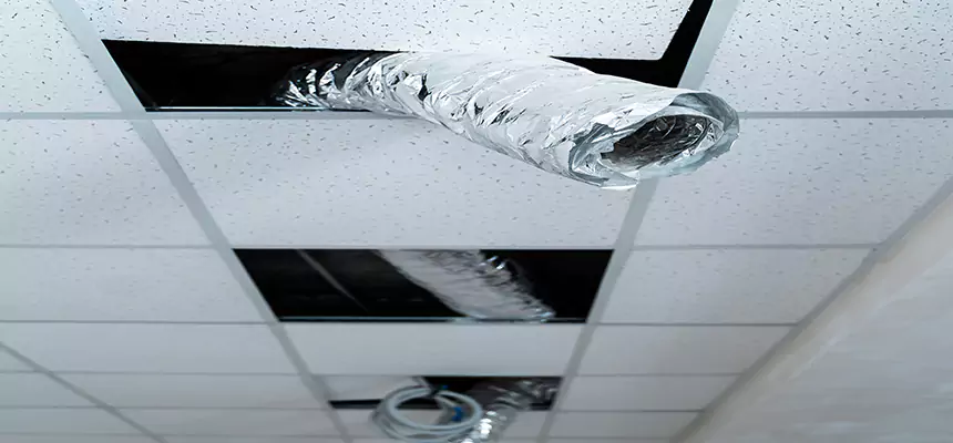 Affordable HVAC Sanitizing After Pest Removal in Ensley