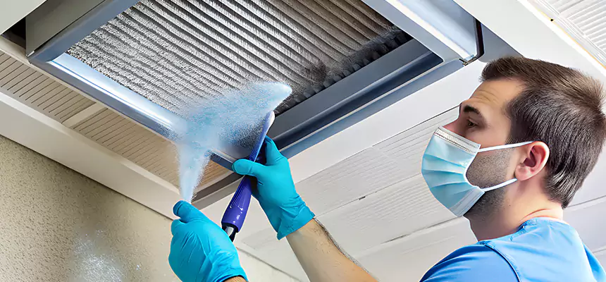 Proactive Dryer Vent & Auxiliary Duct Pollen Cleanup in Ensley, FL