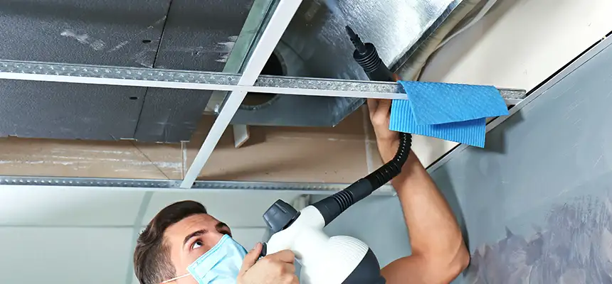 Our Air Duct Rodent Removal Services in Ensley, FL