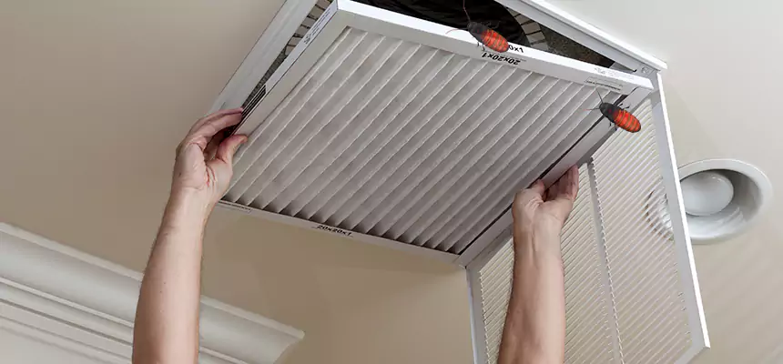 Our Insect Removal from Air Ducts Services in Ensley, FL