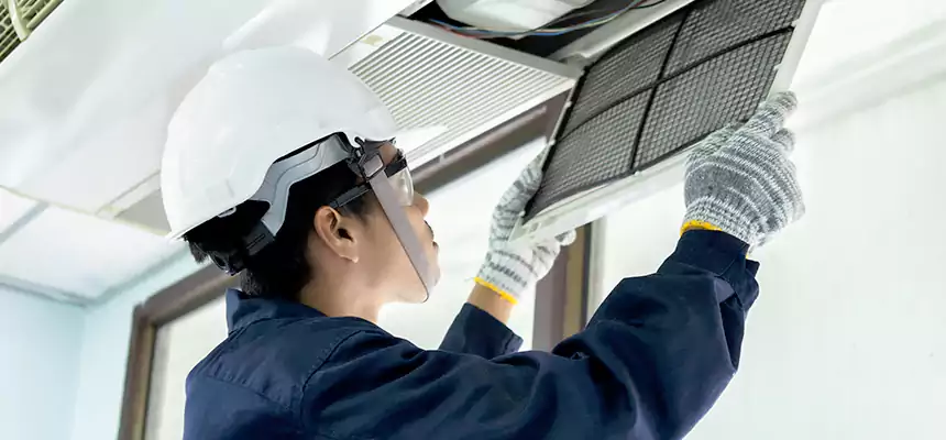 Our Mold & Mildew Removal from Air Ducts Services in Ensley, FL