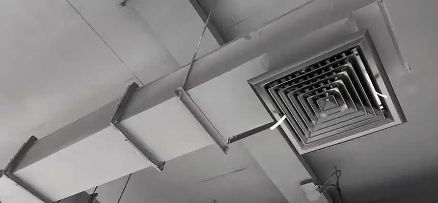 Our Rodent Droppings In Vents Services in Ensley, FL