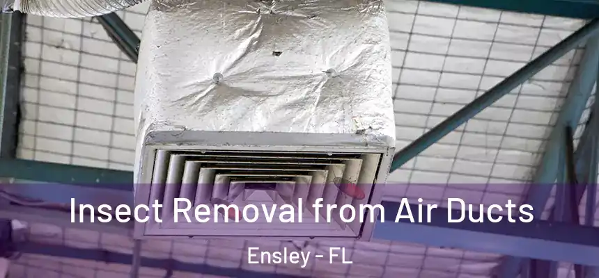 Insect Removal from Air Ducts Ensley - FL