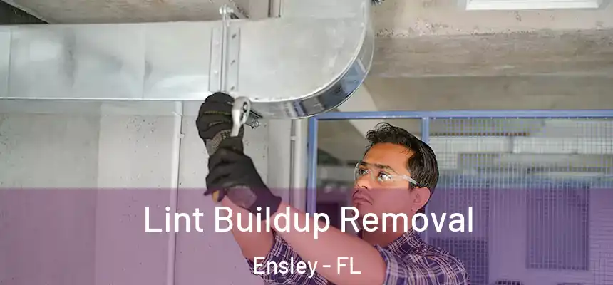 Lint Buildup Removal Ensley - FL