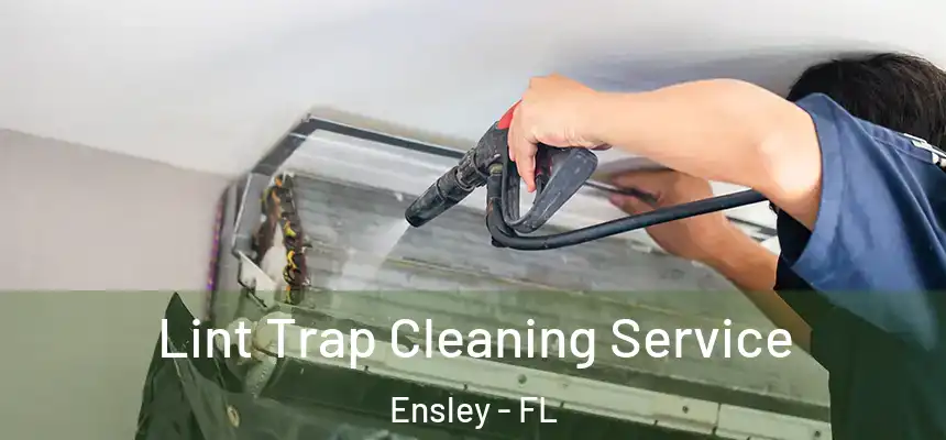 Lint Trap Cleaning Service Ensley - FL