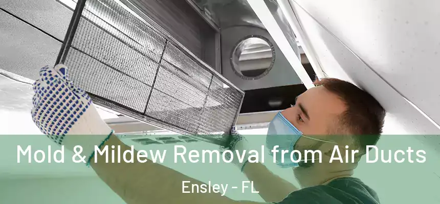 Mold & Mildew Removal from Air Ducts Ensley - FL