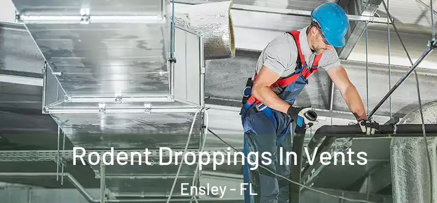 Rodent Droppings In Vents Ensley - FL