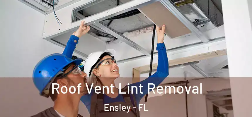Roof Vent Lint Removal Ensley - FL
