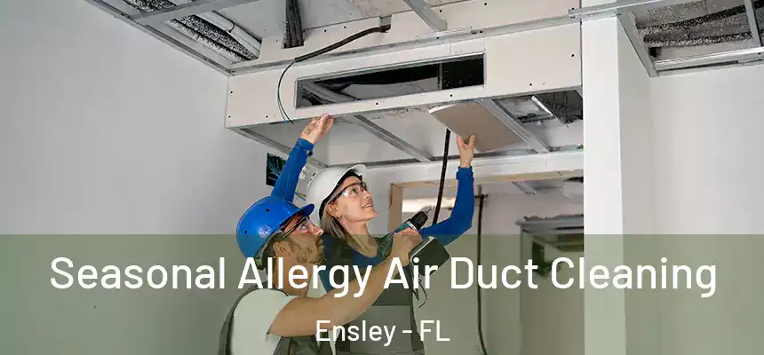 Seasonal Allergy Air Duct Cleaning Ensley - FL