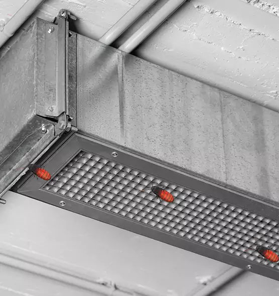 Affordable Insect Removal from Air Ducts in Ensley, FL