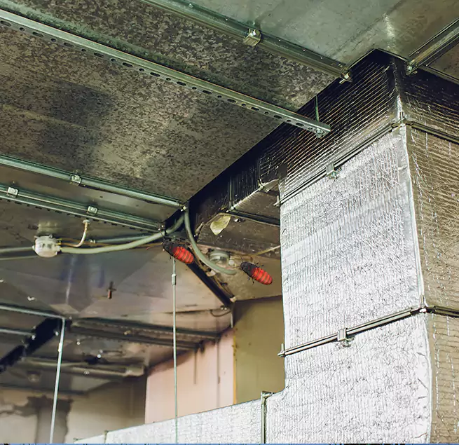 Why Homeowners & Businesses Trust Us in Ensley, FL?