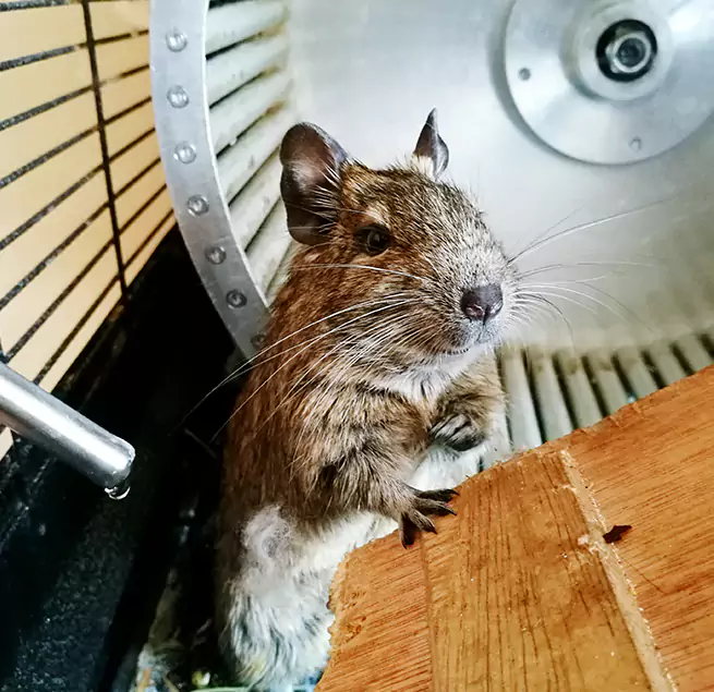 Why Homeowners & Businesses Trust Us Ensley, FL?