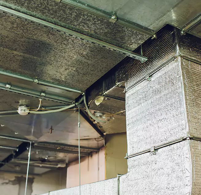 Why Homeowners & Businesses Trust Us in Ensley, FL?